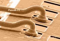 Low loops (as low as 60 um)